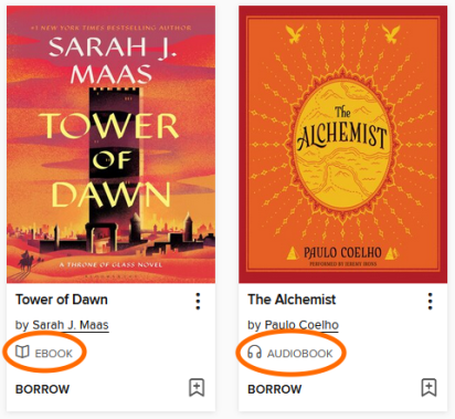 Title covers with formats highlighted below the title and author name.