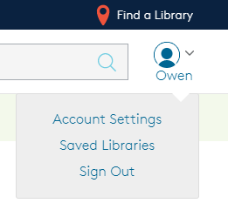 Account drop-down menu. See instructions above.